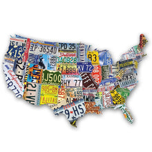 TDC Games USA License Plates Jigsaw Puzzle - 1,000 Pieces