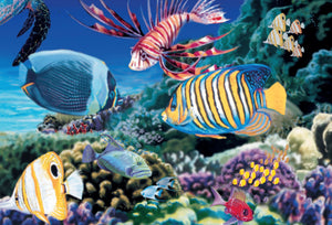 Picture of puzzle art. Different fish swimming.